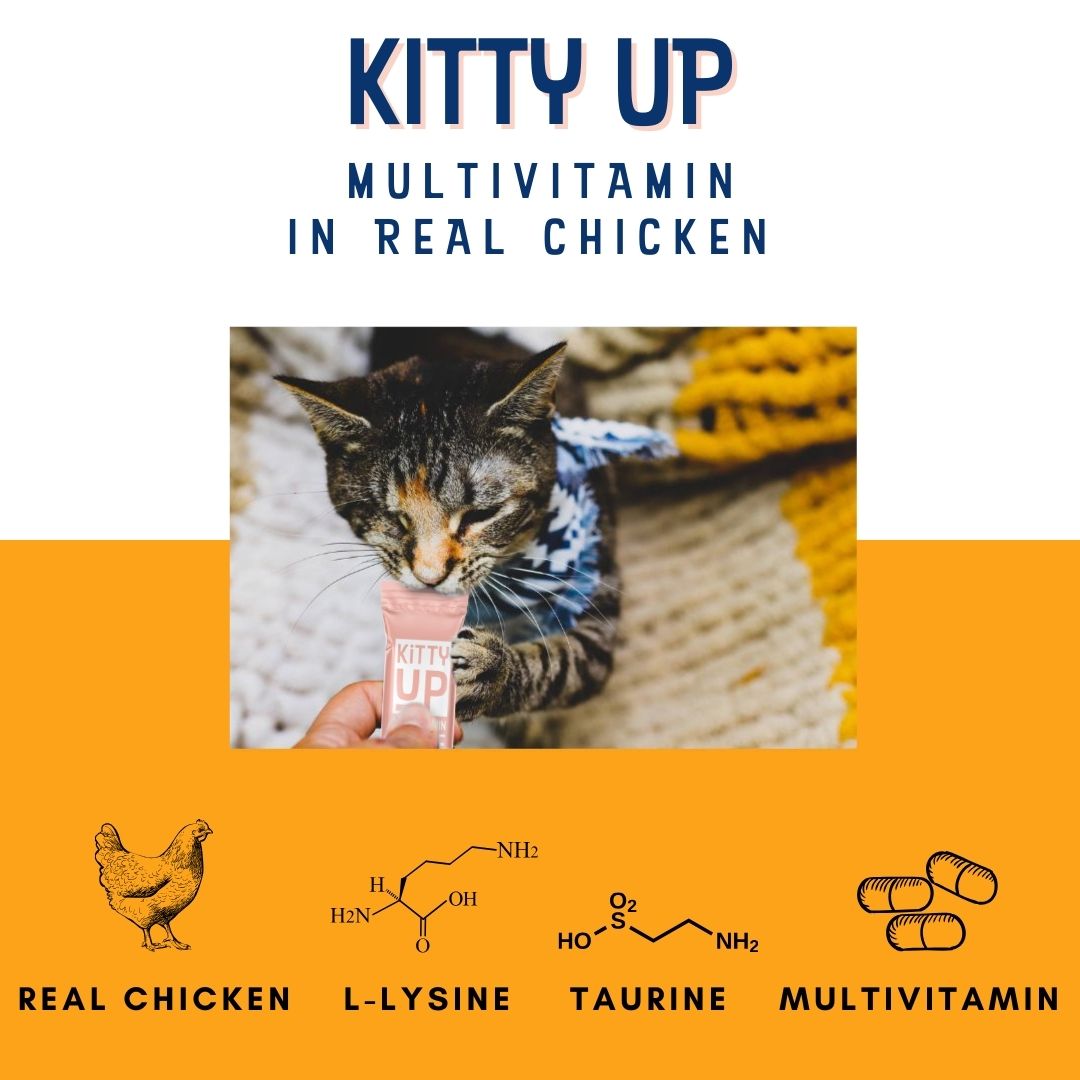 Premium Cat Multivitamin Puree – L-Lysine & Taurine for Immune Health in Real Chicken | Kitty Up