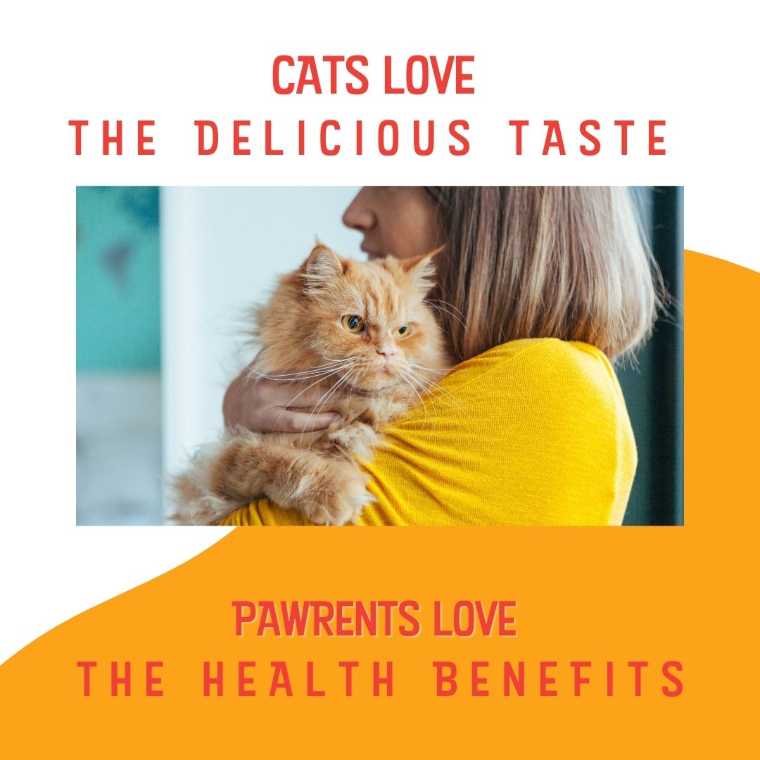 Premium Cat Multivitamin Puree – L-Lysine & Taurine for Immune Health in Real Chicken | Kitty Up