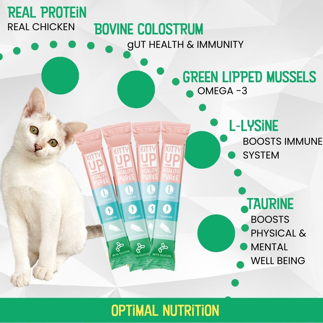 Vitality Puree for Cats – Immune Support with L-Lysine & Taurine in Real Chicken | Kitty Up